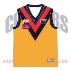 Player Jersey - Junior